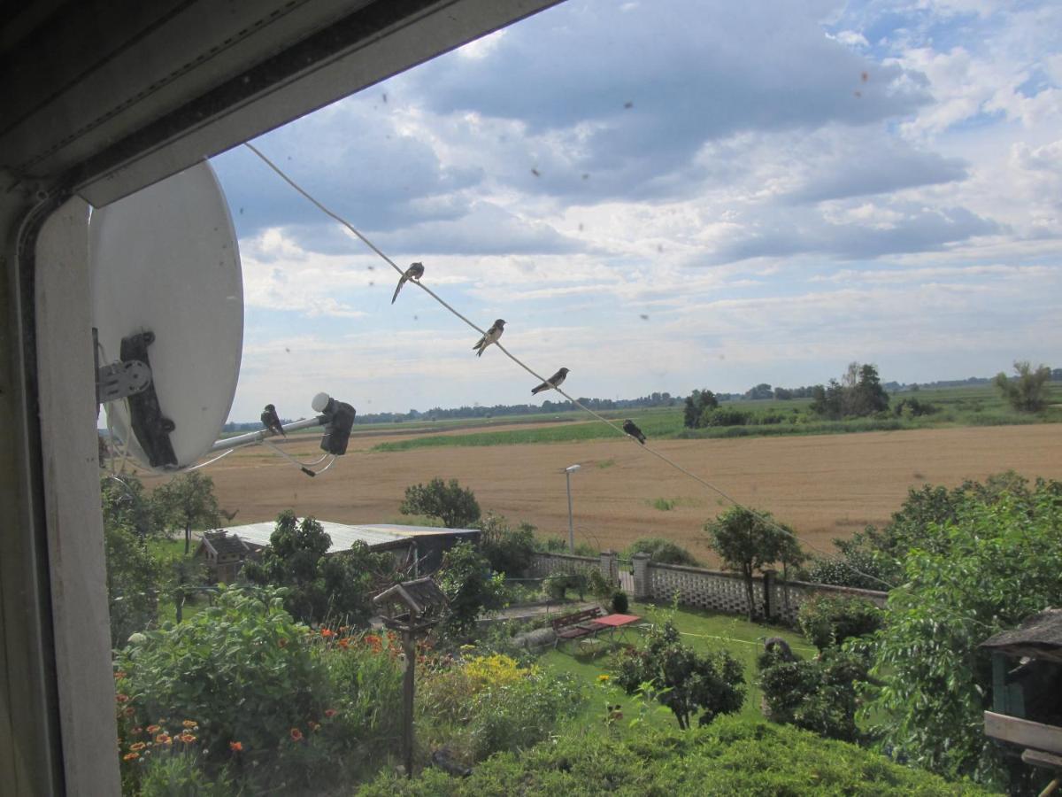 Zum Wiesengrund Im Oderbruch Apartment Altglietzen Luaran gambar