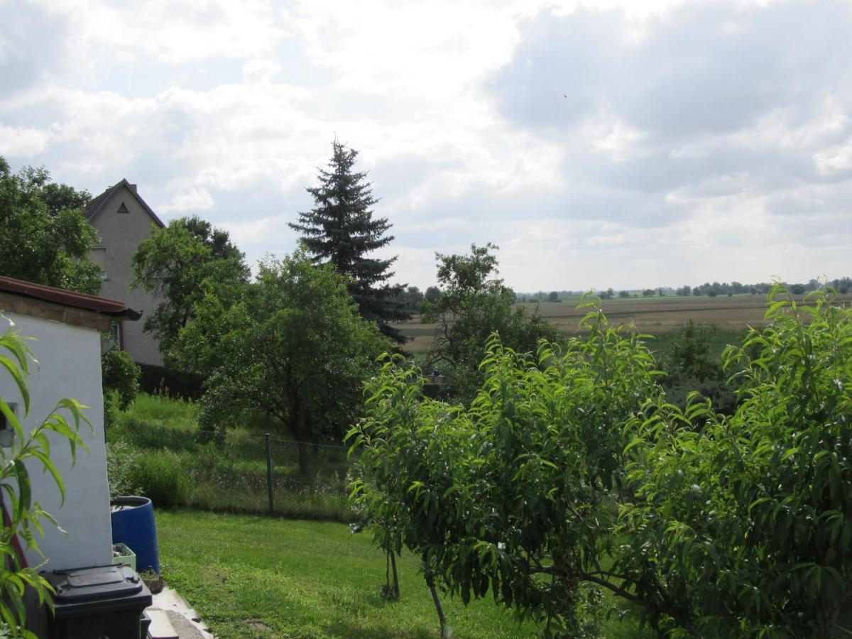 Zum Wiesengrund Im Oderbruch Apartment Altglietzen Luaran gambar