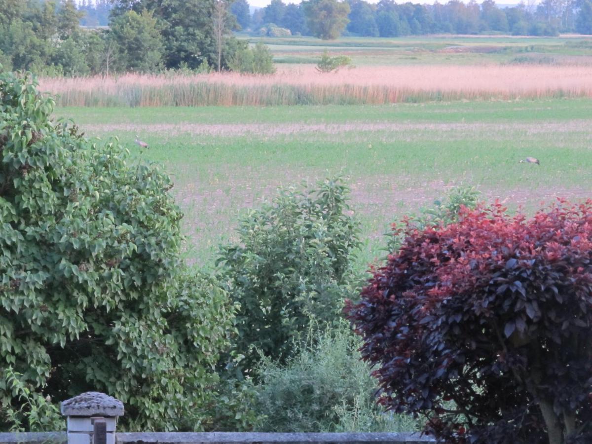 Zum Wiesengrund Im Oderbruch Apartment Altglietzen Luaran gambar