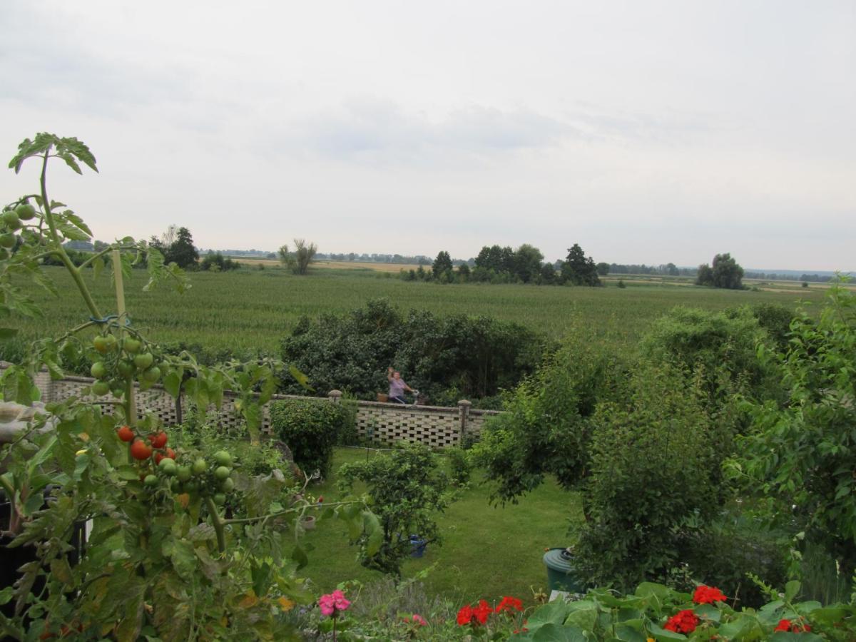 Zum Wiesengrund Im Oderbruch Apartment Altglietzen Luaran gambar